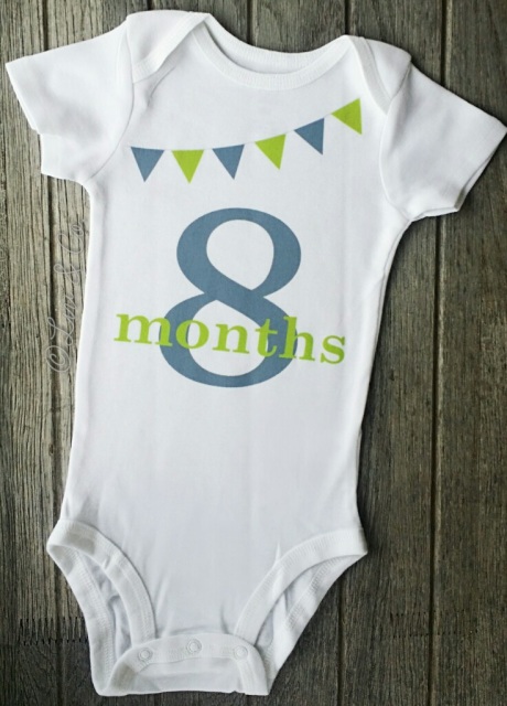Baby Shower Gift - Month By Month Milestone Outfits - Baby Boy or Girl