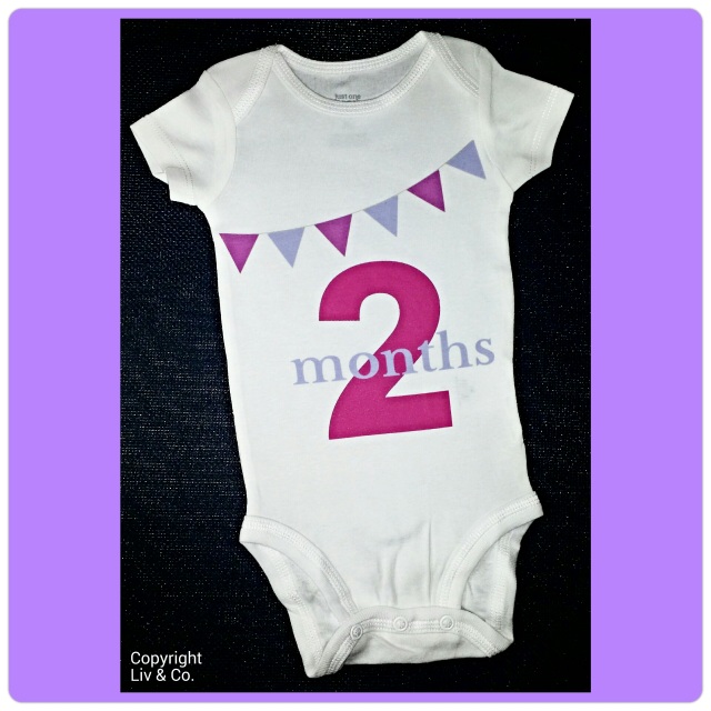 Baby Girl 2 Month Milestone Bodysuit - Photo Outfit - Liv & Co.
